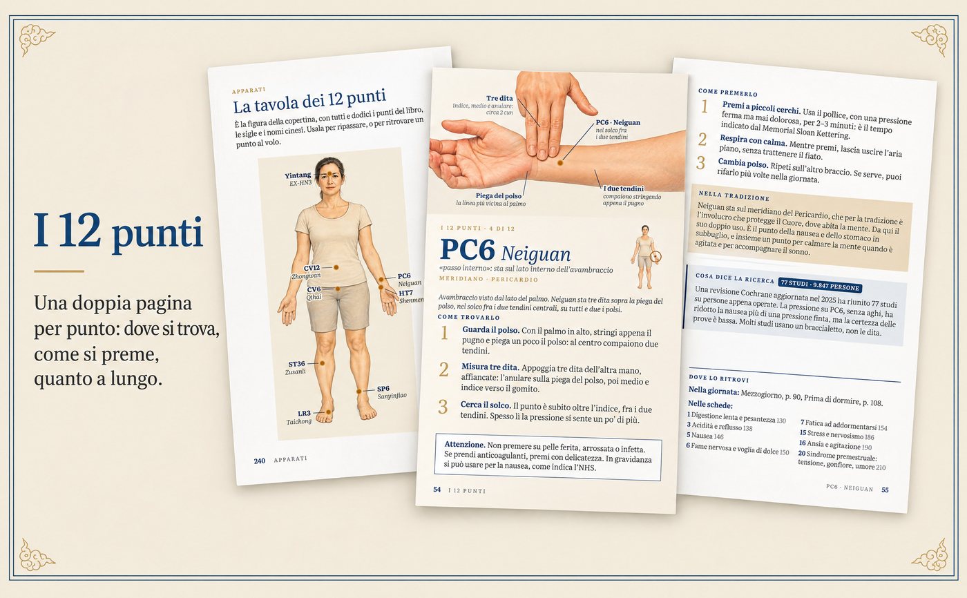 Alcuni dei 12 punti del libro, con le illustrazioni a colori